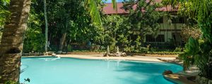 Preview wallpaper swimming pool, palm trees, tropics, nature