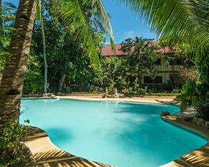 Preview wallpaper swimming pool, palm trees, tropics, nature