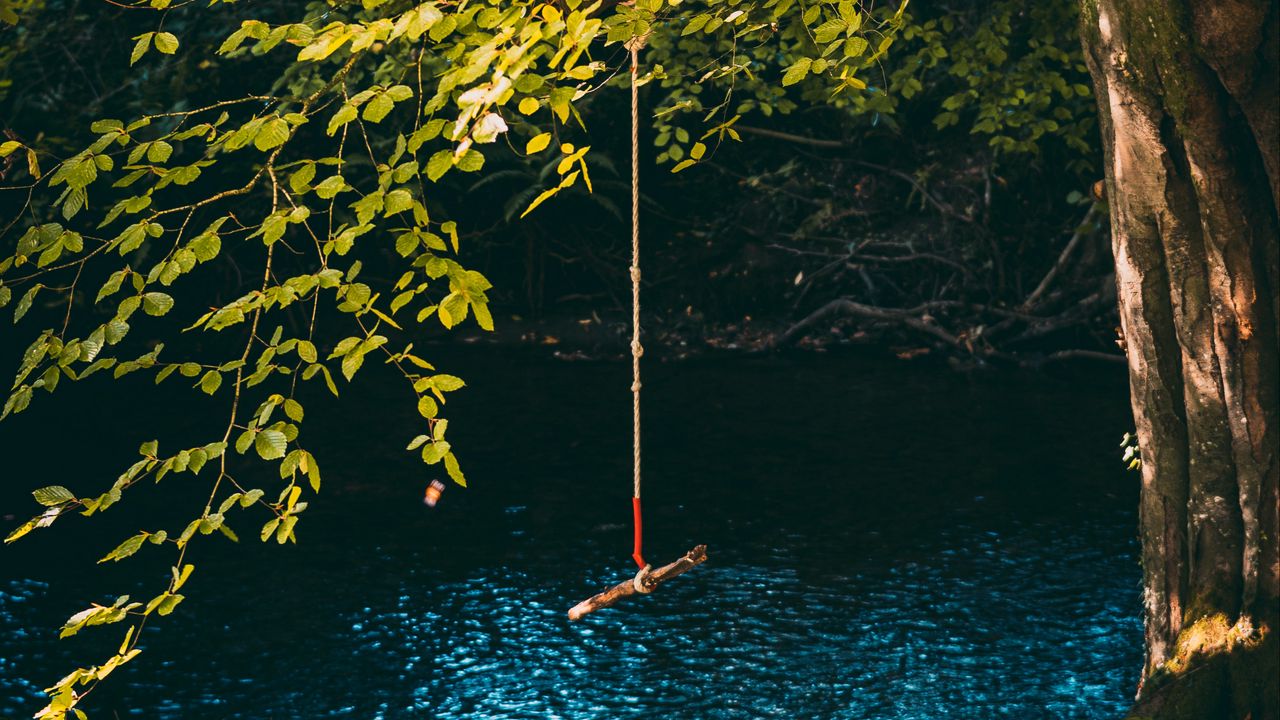 Wallpaper swing, rope, tree, branches, river
