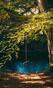 Preview wallpaper swing, rope, tree, branches, river