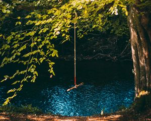 Preview wallpaper swing, rope, tree, branches, river