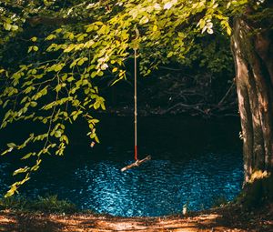 Preview wallpaper swing, rope, tree, branches, river