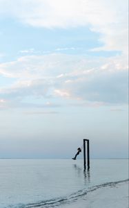 Preview wallpaper swing, sea, horizon, minimalism