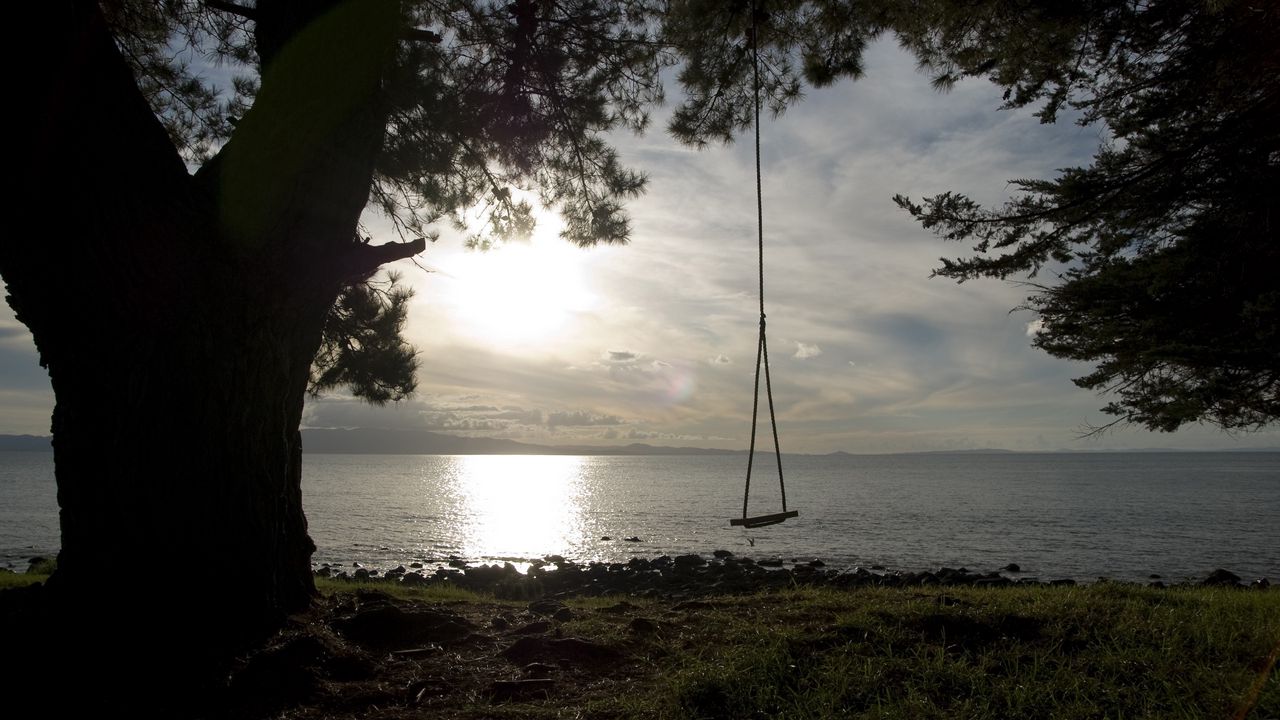 Wallpaper swing, tree, coast, lake