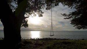 Preview wallpaper swing, tree, coast, lake