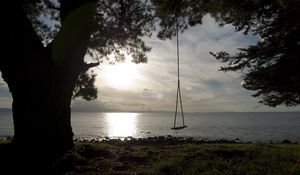 Preview wallpaper swing, tree, coast, lake