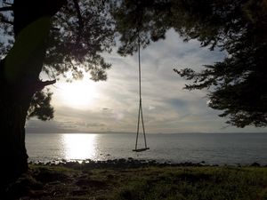 Preview wallpaper swing, tree, coast, lake