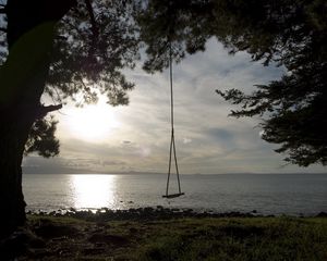 Preview wallpaper swing, tree, coast, lake