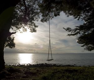 Preview wallpaper swing, tree, coast, lake