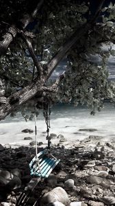 Preview wallpaper swing, tree, coast, stones, sea, gray