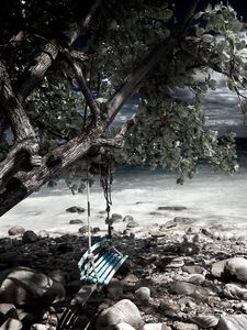 Preview wallpaper swing, tree, coast, stones, sea, gray