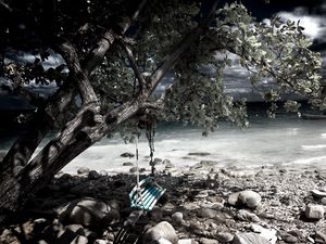 Preview wallpaper swing, tree, coast, stones, sea, gray