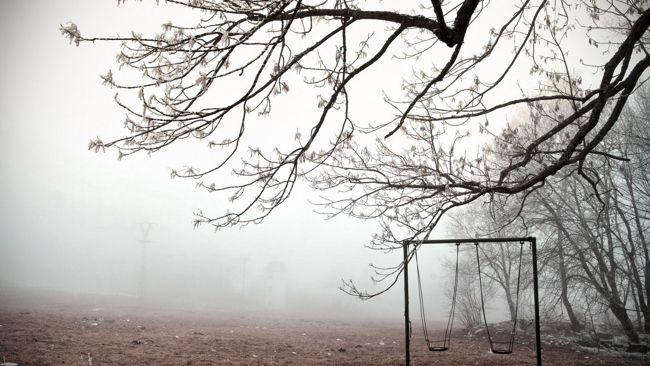 Wallpaper swing, tree, frosts, branches, ice, cold, emptiness, fog