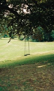 Preview wallpaper swing, tree, lawn, grass, greenery