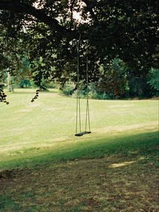 Preview wallpaper swing, tree, lawn, grass, greenery