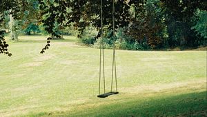 Preview wallpaper swing, tree, lawn, grass, greenery