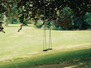 Preview wallpaper swing, tree, lawn, grass, greenery