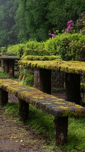 Preview wallpaper table, bench, moss, bushes