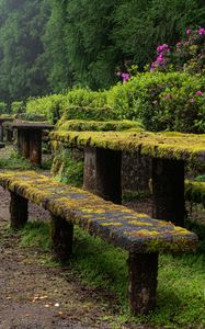 Preview wallpaper table, bench, moss, bushes