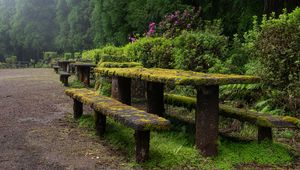 Preview wallpaper table, bench, moss, bushes