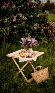 Preview wallpaper table, bouquet, dessert, picnic, nature