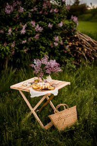 Preview wallpaper table, bouquet, dessert, picnic, nature