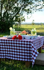 Preview wallpaper table, fruit, plates, picnic, nature