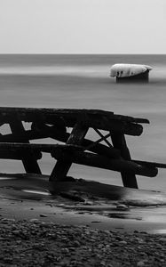 Preview wallpaper table, tree, coast, black and white