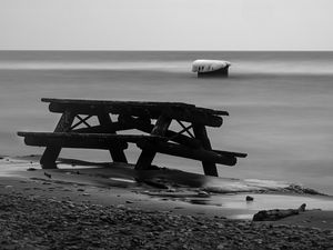 Preview wallpaper table, tree, coast, black and white