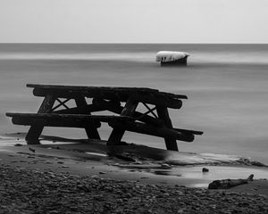 Preview wallpaper table, tree, coast, black and white