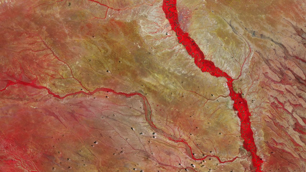 Wallpaper tana river, river, kenya, earth, planet, view from space