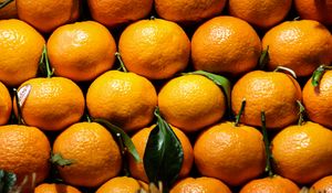 Preview wallpaper tangerine, citrus, fruit, vitamins