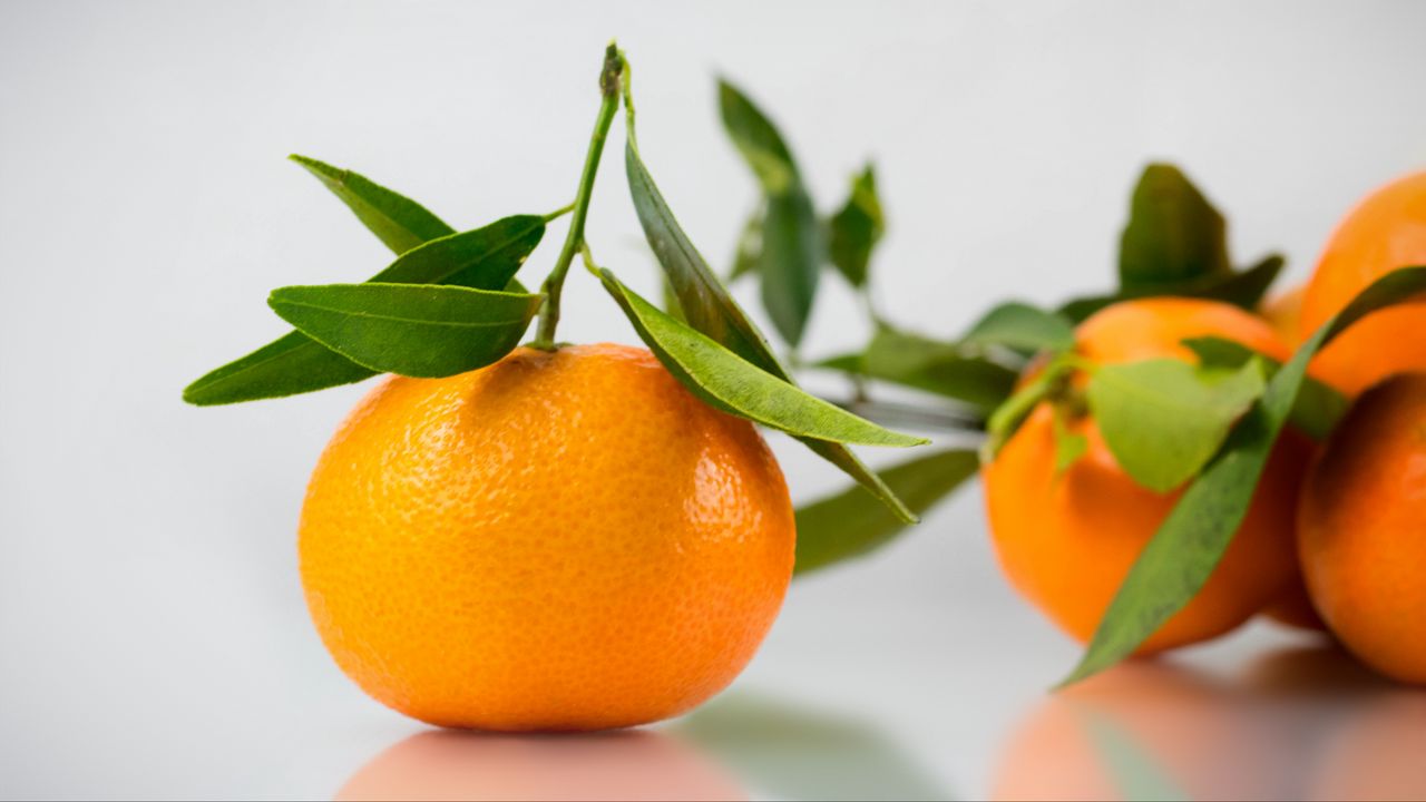 Wallpaper tangerine, citrus, leaves