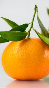 Preview wallpaper tangerine, citrus, leaves
