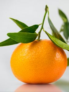Preview wallpaper tangerine, citrus, leaves