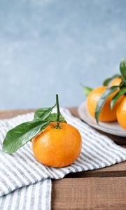 Preview wallpaper tangerine, fruit, citrus, orange