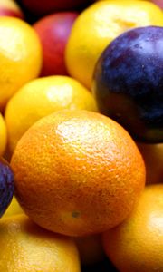 Preview wallpaper tangerine, plum, fruit, ripe