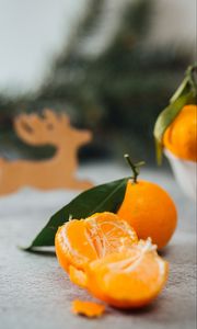 Preview wallpaper tangerine, slices, fruit, citrus