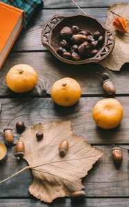 Preview wallpaper tangerines, acorns, leaves, chestnuts, autumn