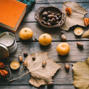 Preview wallpaper tangerines, acorns, leaves, chestnuts, autumn