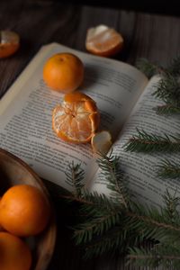 Preview wallpaper tangerines, book, branches, spruce, fruit, citrus