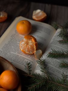 Preview wallpaper tangerines, book, branches, spruce, fruit, citrus