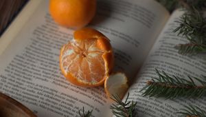 Preview wallpaper tangerines, book, branches, spruce, fruit, citrus