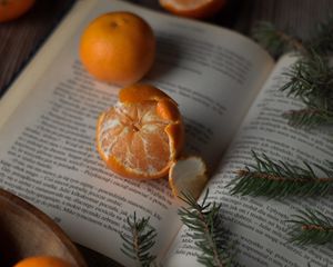 Preview wallpaper tangerines, book, branches, spruce, fruit, citrus