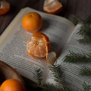Preview wallpaper tangerines, book, branches, spruce, fruit, citrus