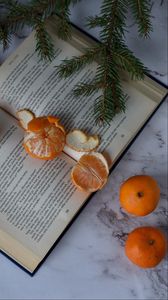 Preview wallpaper tangerines, book, fruit, citrus, orange