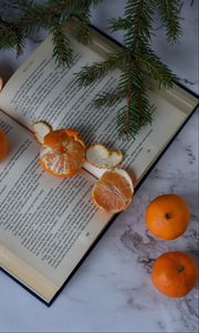 Preview wallpaper tangerines, book, fruit, citrus, orange