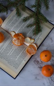 Preview wallpaper tangerines, book, fruit, citrus, orange