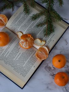 Preview wallpaper tangerines, book, fruit, citrus, orange