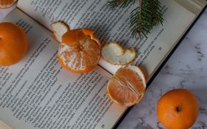 Preview wallpaper tangerines, book, fruit, citrus, orange